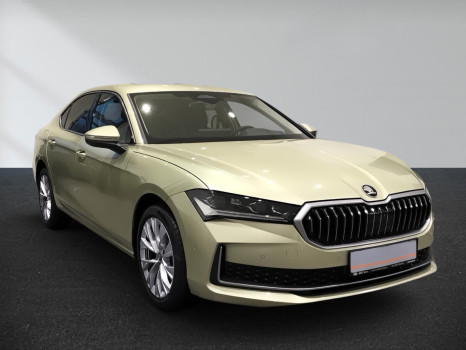 Superb Top Selection 2,0 TDI 142 kW 7-Gang automat. 4x4